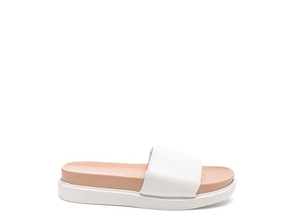 MOULDED POOL SLIDES - Faylinn & Co