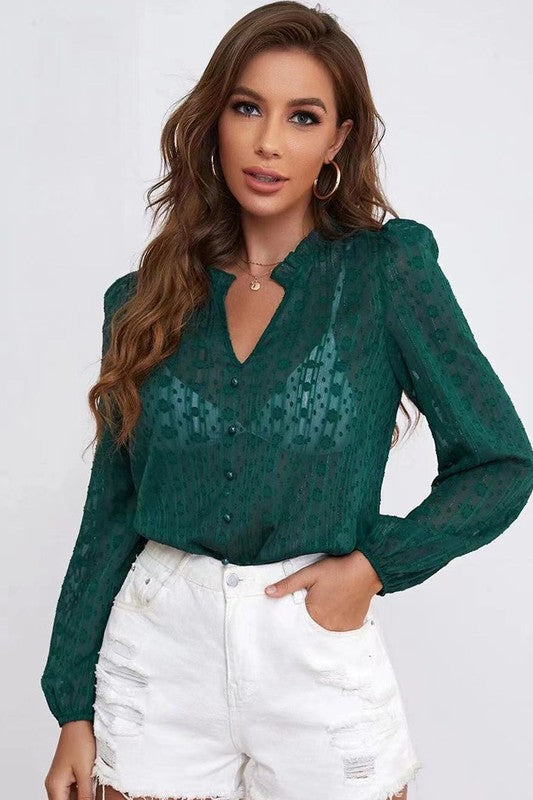 Long sleeve sheer blouse - Faylinn & Co