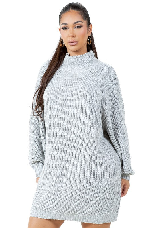 WOMEN FASHION SWEATER DRESS - Faylinn & Co
