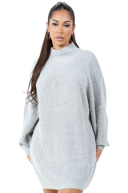 WOMEN FASHION SWEATER DRESS - Faylinn & Co